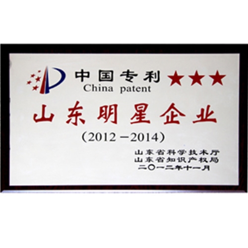 專利山東明星企業